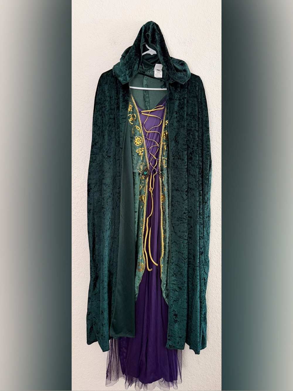 Disney Hocus Pocus Winifred Sanderson Costume Dress and Green Hooded Cape - L